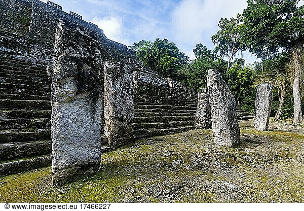Unesco-Welterbestätte Calakmul  Campeche  Mexiko  Mittelamerika