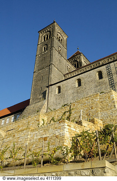 UNESCO-Welterbestätte St. Servatius auf dem Burgberg  Weinberg Quedlinburg Sachsen-Anhalt  Deutschland
