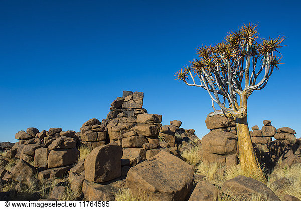 Ungewöhnliche Felsformationen  Giant's Playground  Keetmanshoop  Namibia  Afrika