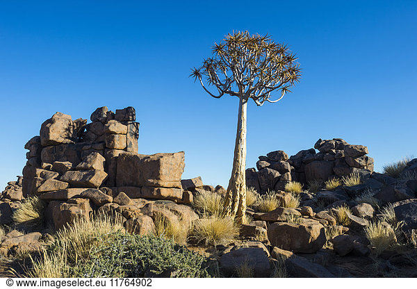 Ungewöhnliche Felsformationen  Giants Playground  Keetmanshoop  Namibia  Afrika