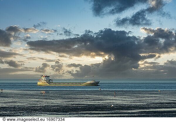 Unloaded cargo ship on the world shipping route Elbe at the Wadden Sea  Cuxhaven  Lower Saxony  Germany  Europe