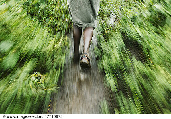 Unschärfe der Bewegung eines Mannes  der auf einem Pfad zwischen Pflanzen geht  Region Omo  Südwest-Äthiopien; Kibish  Äthiopien