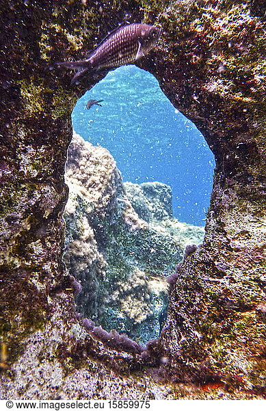 Unterwasserfenster in den Felsen