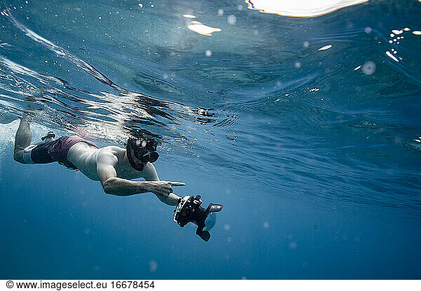 Unterwasserfotograf entdeckt etwas im Ozean von Hawaii