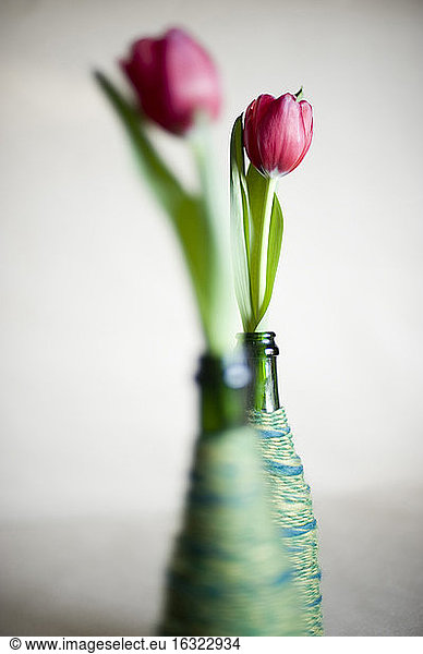 Upcycled glass bottles used as flower vases