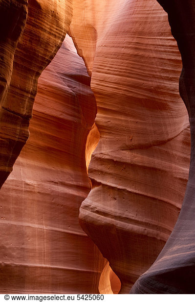 Upper Antelope Canyon  Arizona  USA