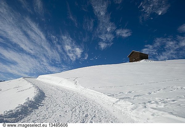Upward winter hiking trail under a blue sky  Graubuenden  Switzerland  Europe