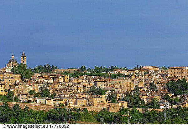 Urbino  Marche  UNESCO World Heritage Site  Italy  Europe