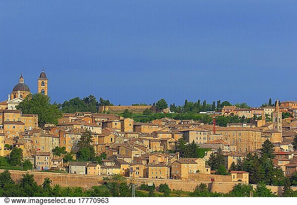 Urbino  Marche  UNESCO World Heritage Site  Italy  Europe