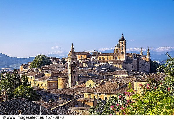 Urbino  Marken  Italien  Europa