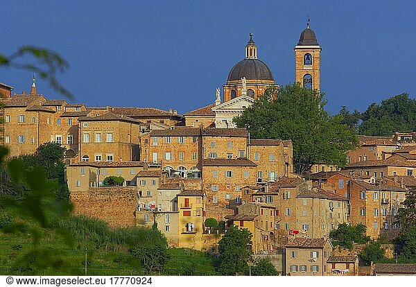 Urbino  Marken  UNESCO-Weltkulturerbe  Italien  Europa