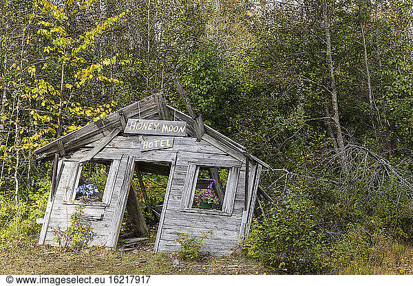 USA  Alaska  View of hut