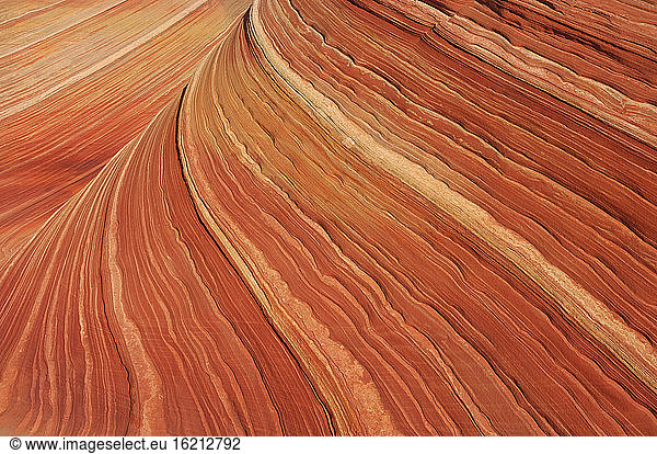 USA  Arizona  Colorado Plateau  Vermilion Cliffs  Sandstone formation  close up