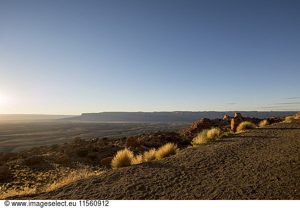USA  Arizona  Landschaft bei Sonnenuntergang
