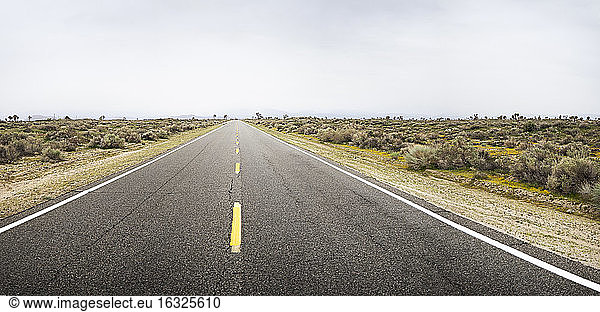 USA  California  Empty road in deserted area
