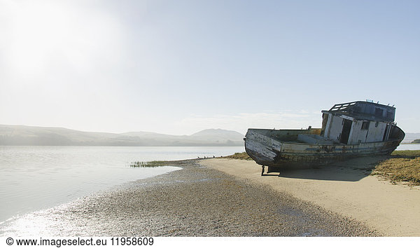 USA  California  Inverness  Point Reyes  Tomales Bay  Shipwreck on sandy coast