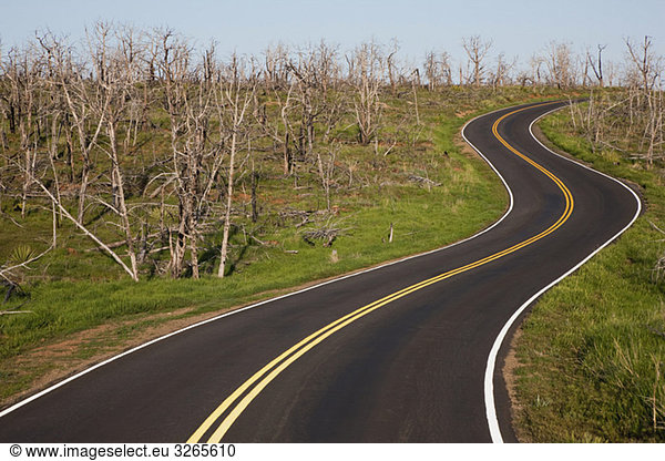 USA  Colorado  Mesa Verde Nationalpark  Empty road winding through landscape