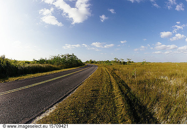 USA  Florida  Empty road in Everglades National Park  Florida