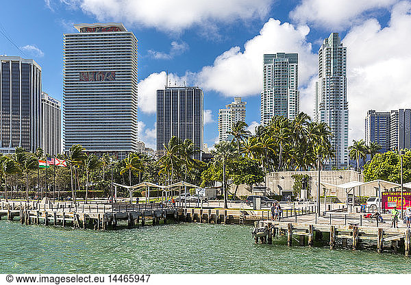 USA  Florida  Miami  Bayfront Park mit Skyline