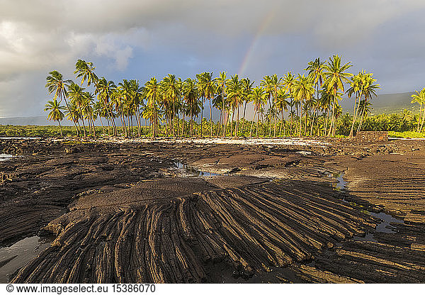 USA  Hawaii  Big Island  Pu'uhonua o Honaunau-Nationalpark  Lavaküste und Regenbogen