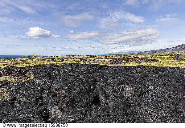 USA  Hawaii  Big Island  Volcanoes National Park  Ka Lae Apuki  lava fields
