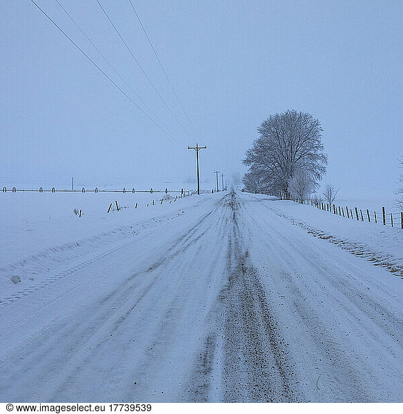 USA  Idaho  Bellevue  Empty rural road covered with snow