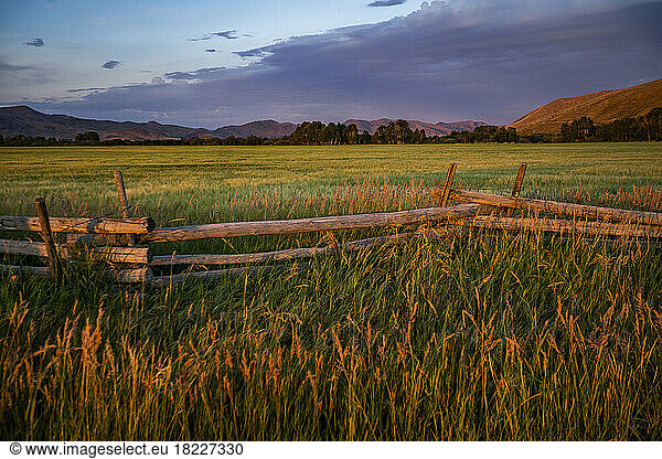 USA  Idaho  bellevue  Rural scene with old wooden fence