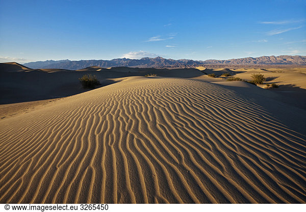 USA  Kalifornien  Death Valley  Sanddünen