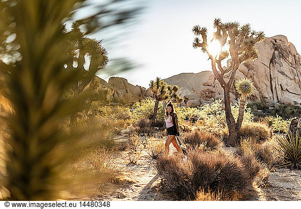 USA  Kalifornien  Los Angeles  Frau beim Spaziergang im Joshua-Tree-Nationalpark im Gegenlicht