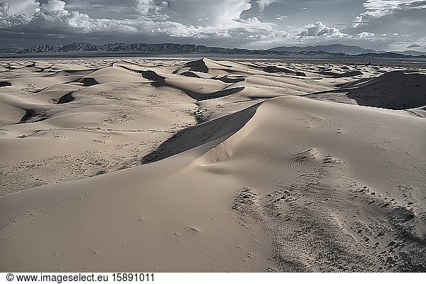 USA  Kalifornien  Low-Level-Luftbildaufnahmen der Dünen von Cadiz in der Mojave-Wüste