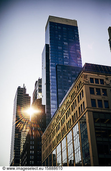 USA  New York City  Sonne scheint durch Hochhäuser