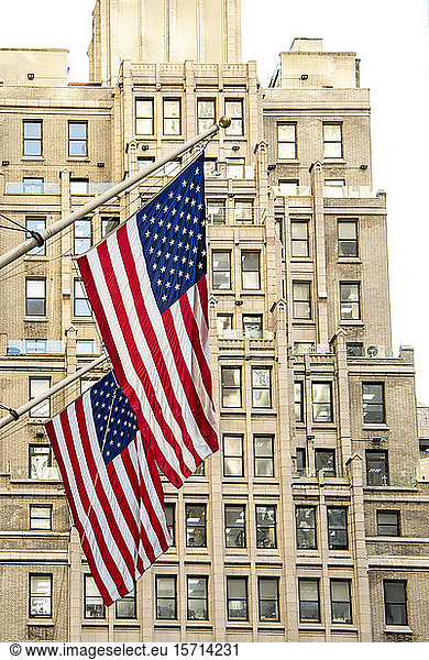 USA  New York  New York City  American flags hanging against skyscraper