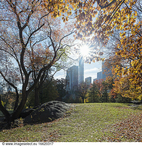 USA  New York  New York City  Central Park im Herbst