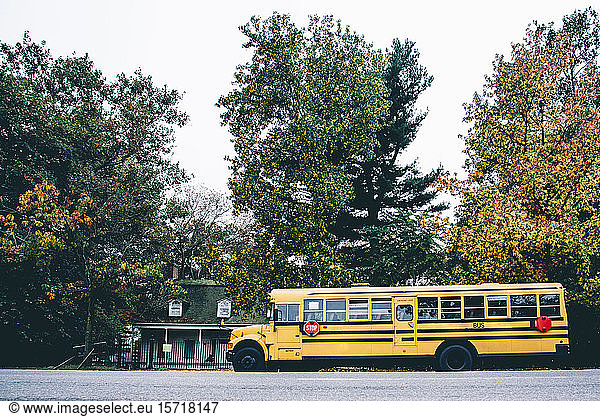 USA  New York  New York City  School bus on street