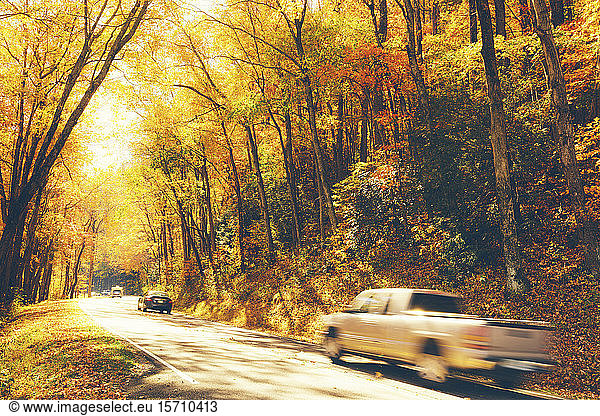 USA  Tennessee  Cars driving along road through autumn forest in Great Smoky Mountains