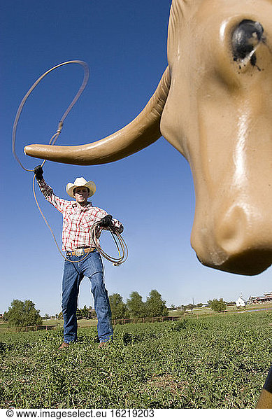 USA  Texas  Dallas  Cowboy using lasso