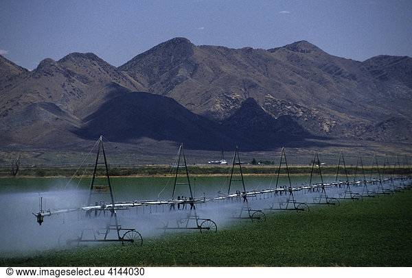 USA  United States of America  Arizona: Automatical irrigation system on a farm in southern Arizona