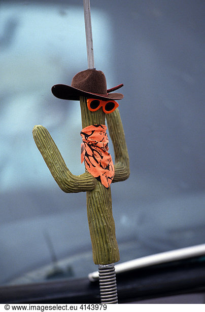 USA  United States of America  Arizona:car antenna with cactus design toy.