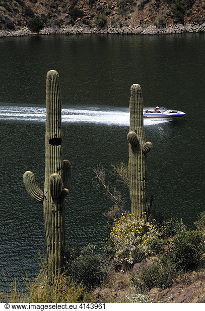 USA  United States of America  Arizona: Lake Apache near Tucson.