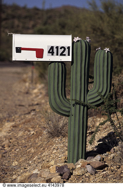 USA  United States of America  Arizona: mailbox in cactus design.
