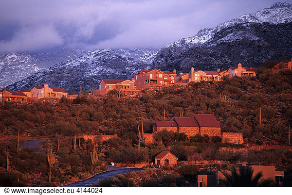 USA  United States of America  Arizona: North Tucson  housing estates  Santa Catalina Mountains.