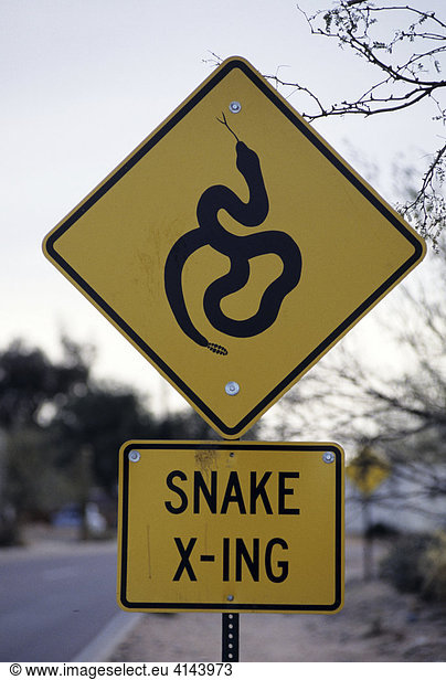 USA  United States of America  Arizona: Roadsign warning of snakes  crossing the road.
