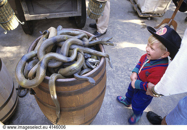 USA  United States of America  California: Disneyland  rubber snakes as souvenirs.