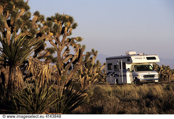 USA  United States of America  California: Joshua Tree National Park Traveliing in a Motorhome  RV  through the west of the US.