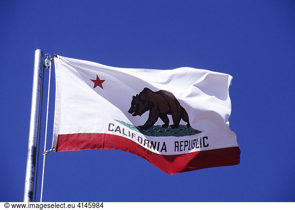 USA  United States of America  California: the flag of California.