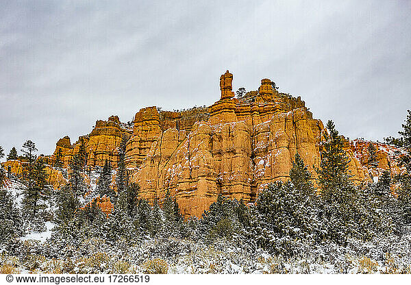 USA  Utah  Bryce Canyon  Sandsteinfelsen bei Bryce Canyon National Park