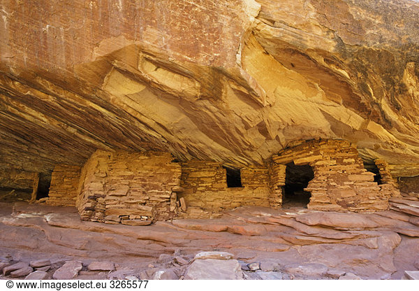 USA  Utah  Indianerruinen in North Fork of Mule Canyon  Cedar Mesa