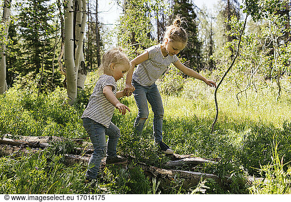 USA  Utah  Uinta National Park  Two sisters (2-3  6-7) walking on log in forest