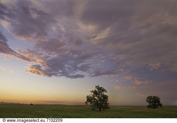 USA  Vereinigte Staaten  Amerika  Prärie  Eichen  Bäume  Laube  Gras  Gräser  Sonnenuntergang  Himmel  Farbe  Badlands  Nationalpark  SD  South Dakota  Mittlerer Westen