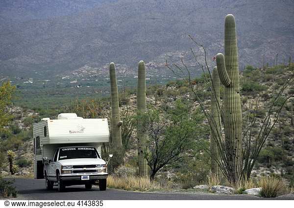 USA  Vereinigte Staaten von Amerika  Arizona: Strasse im Saguaro national Park. Urlaub im Wohnmobil  Reise durch den Westen der USA.